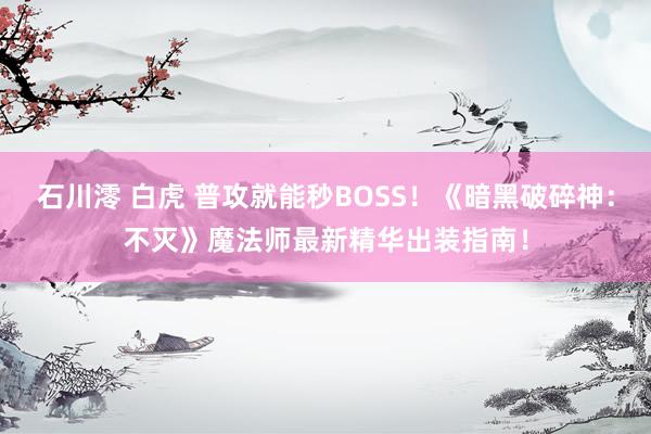 石川澪 白虎 普攻就能秒BOSS！《暗黑破碎神：不灭》魔法师最新精华出装指南！