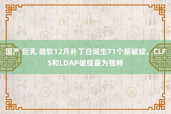 国产 巨乳 微软12月补丁日诞生71个新破绽，CLFS和LDAP破绽最为独特