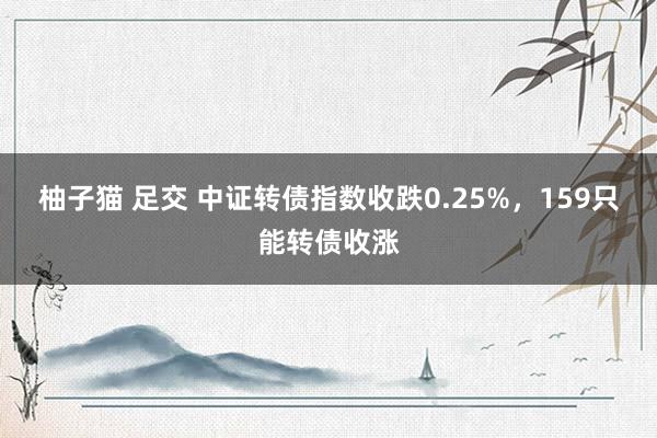 柚子猫 足交 中证转债指数收跌0.25%，159只能转债收涨