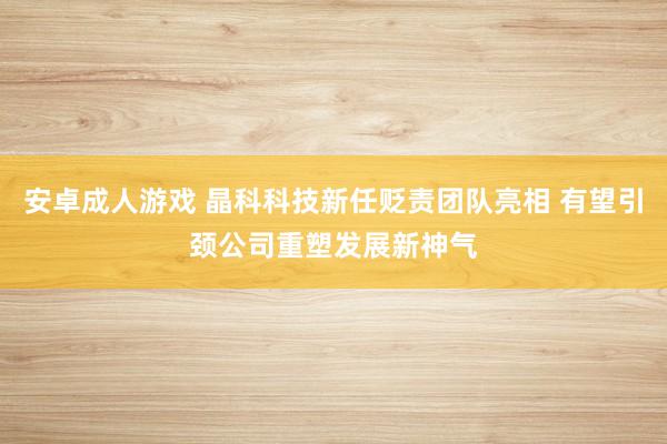 安卓成人游戏 晶科科技新任贬责团队亮相 有望引颈公司重塑发展新神气