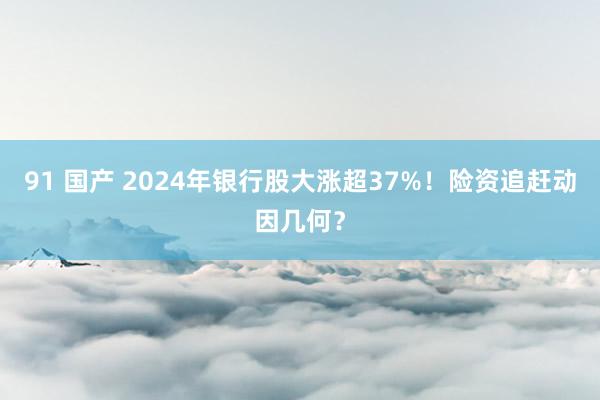 91 国产 2024年银行股大涨超37%！险资追赶动因几何？