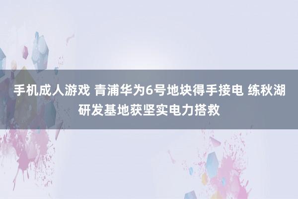 手机成人游戏 青浦华为6号地块得手接电 练秋湖研发基地获坚实电力搭救