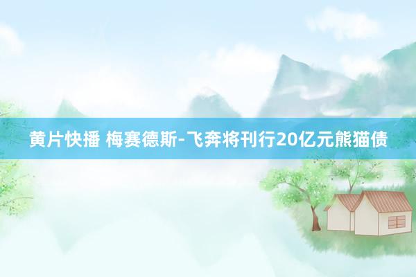 黄片快播 梅赛德斯-飞奔将刊行20亿元熊猫债