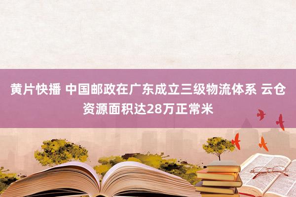 黄片快播 中国邮政在广东成立三级物流体系 云仓资源面积达28万正常米