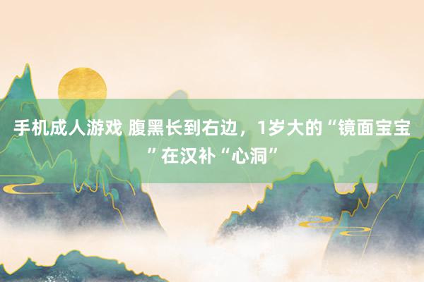 手机成人游戏 腹黑长到右边，1岁大的“镜面宝宝”在汉补“心洞”