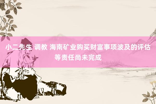 小二先生 调教 海南矿业购买财富事项波及的评估等责任尚未完成
