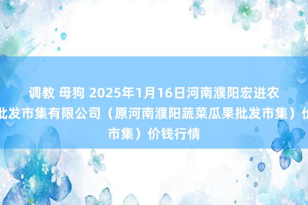 调教 母狗 2025年1月16日河南濮阳宏进农副家具批发市集有限公司(原河南濮阳蔬菜瓜果批发市集)价钱行情