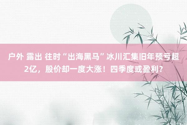 户外 露出 往时“出海黑马”冰川汇集旧年预亏超2亿，股价却一度大涨！四季度或盈利？