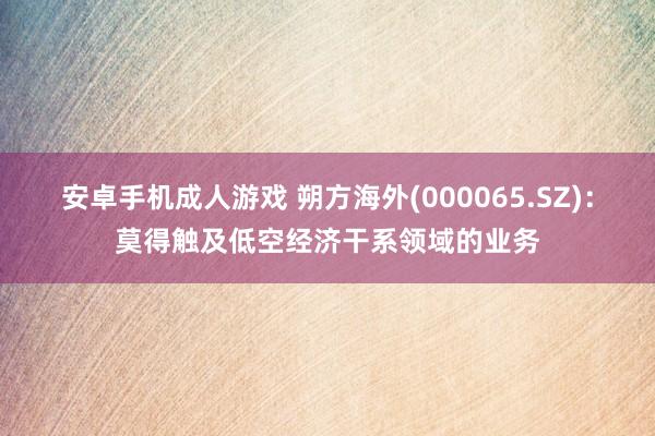 安卓手机成人游戏 朔方海外(000065.SZ)：莫得触及低空经济干系领域的业务