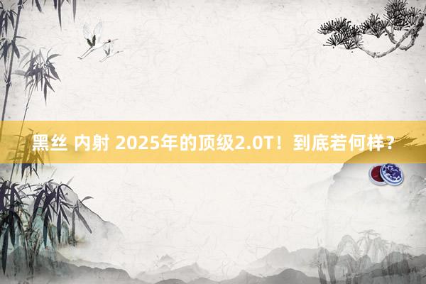 黑丝 内射 2025年的顶级2.0T！到底若何样？