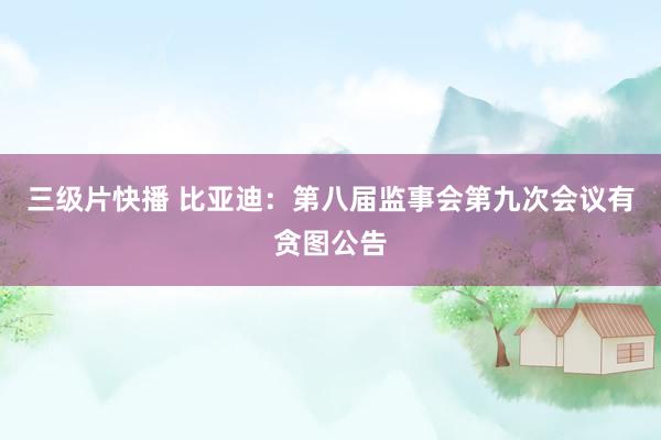 三级片快播 比亚迪：第八届监事会第九次会议有贪图公告