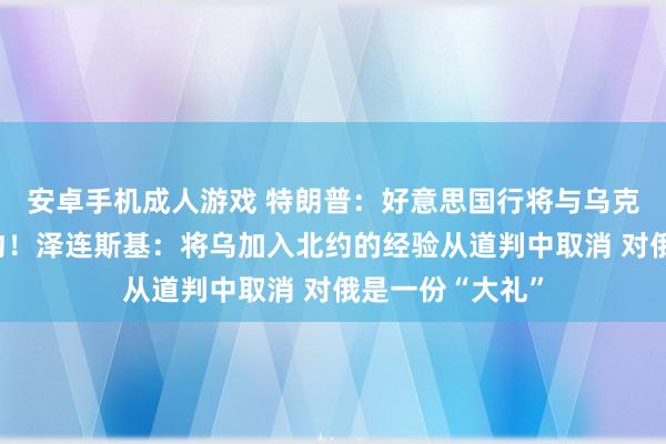 安卓手机成人游戏 特朗普：好意思国行将与乌克兰签署稀土契约！泽连斯基：将乌加入北约的经验从道判中取消 对俄是一份“大礼”