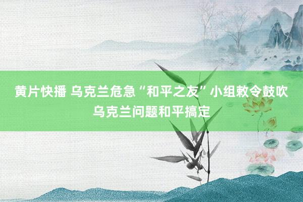 黄片快播 乌克兰危急“和平之友”小组敕令鼓吹乌克兰问题和平搞定