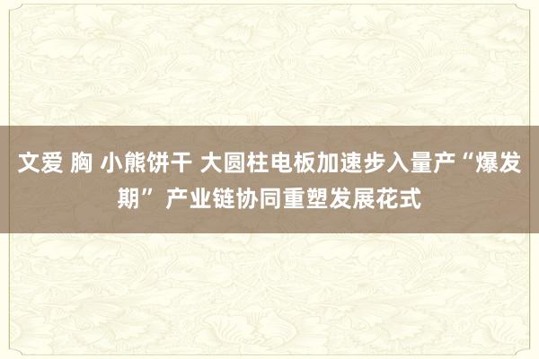 文爱 胸 小熊饼干 大圆柱电板加速步入量产“爆发期” 产业链协同重塑发展花式