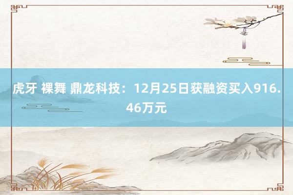 虎牙 裸舞 鼎龙科技：12月25日获融资买入916.46万元