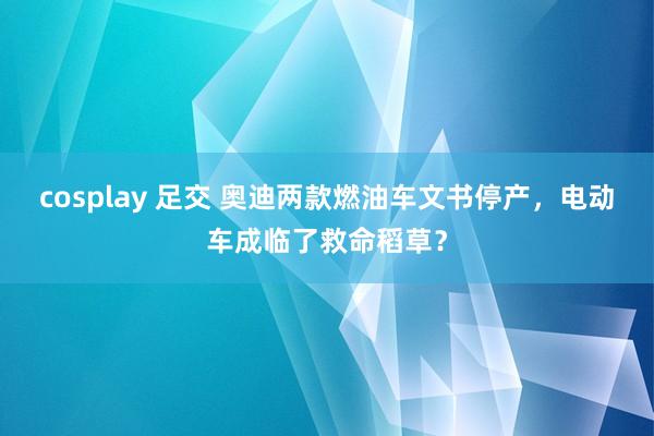 cosplay 足交 奥迪两款燃油车文书停产，电动车成临了救命稻草？