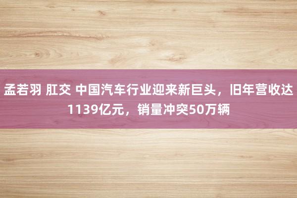 孟若羽 肛交 中国汽车行业迎来新巨头，旧年营收达1139亿元，销量冲突50万辆