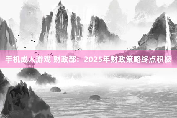 手机成人游戏 财政部：2025年财政策略终点积极