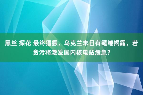 黑丝 探花 最终猖獗，乌克兰末日有缱绻揭露，若贪污将激发国内核电站危急？