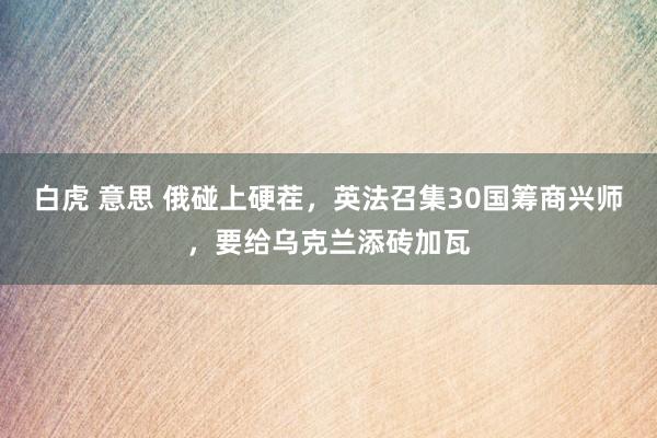 白虎 意思 俄碰上硬茬，英法召集30国筹商兴师，要给乌克兰添砖加瓦