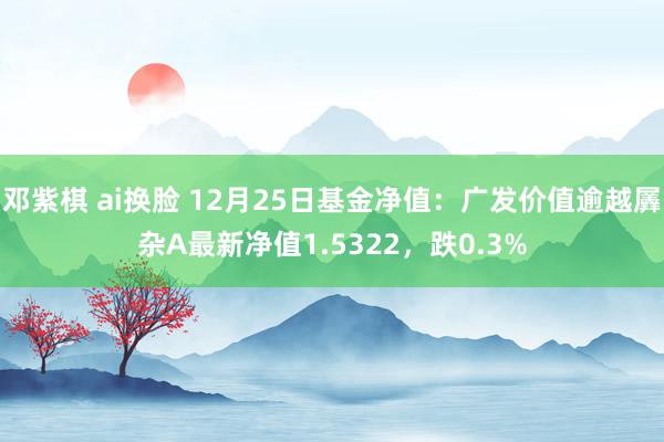 邓紫棋 ai换脸 12月25日基金净值：广发价值逾越羼杂A最新净值1.5322，跌0.3%