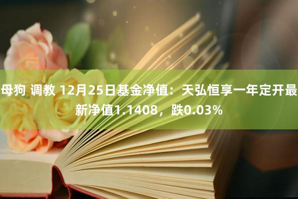 母狗 调教 12月25日基金净值：天弘恒享一年定开最新净值1.1408，跌0.03%