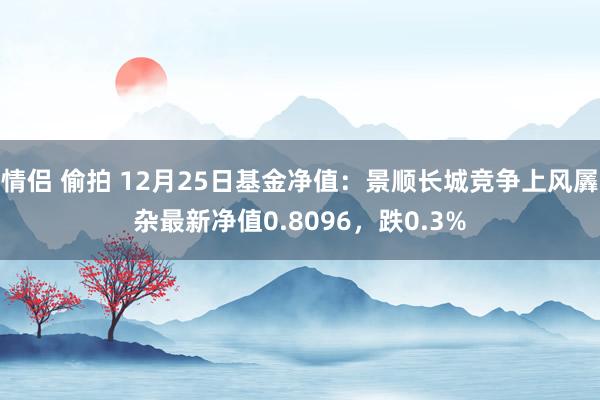 情侣 偷拍 12月25日基金净值：景顺长城竞争上风羼杂最新净值0.8096，跌0.3%