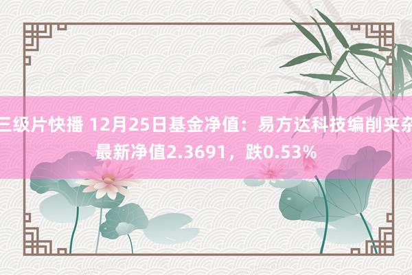 三级片快播 12月25日基金净值：易方达科技编削夹杂最新净值2.3691，跌0.53%