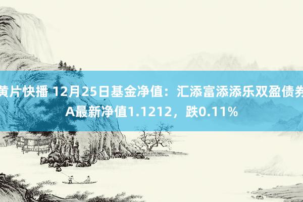 黄片快播 12月25日基金净值：汇添富添添乐双盈债券A最新净值1.1212，跌0.11%