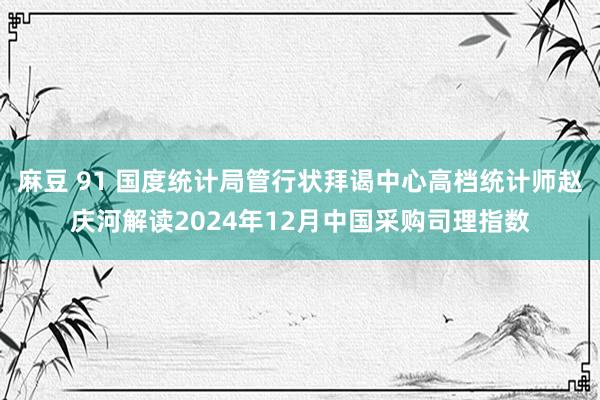 麻豆 91 国度统计局管行状拜谒中心高档统计师赵庆河解读2024年12月中国采购司理指数