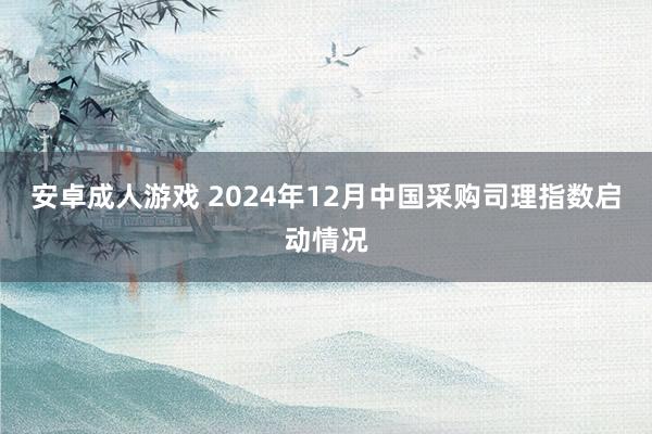 安卓成人游戏 2024年12月中国采购司理指数启动情况