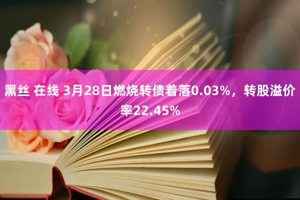 黑丝 在线 3月28日燃烧转债着落0.03%，转股溢价率22.45%
