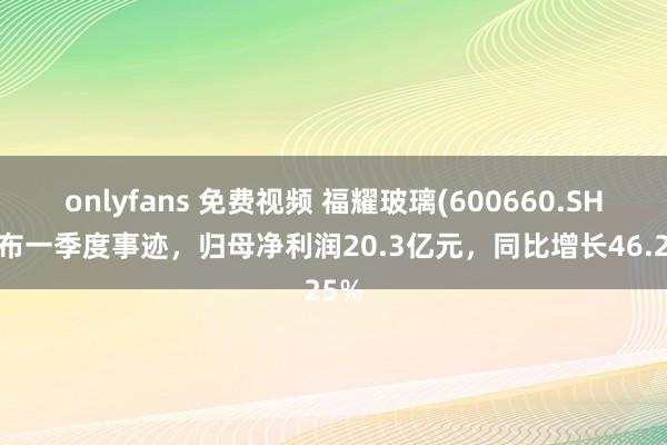 onlyfans 免费视频 福耀玻璃(600660.SH)发布一季度事迹，归母净利润20.3亿元，同比增长46.25%