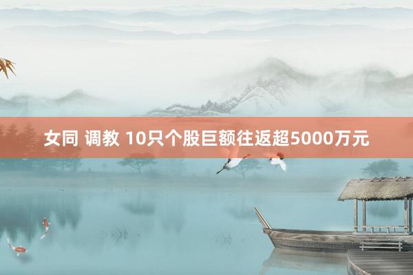 女同 调教 10只个股巨额往返超5000万元