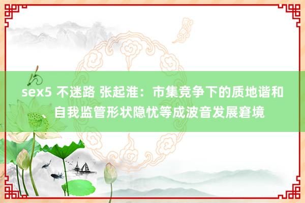 sex5 不迷路 张起淮:市集竞争下的质地谐和、自我监管形状隐忧等成波音发展窘境