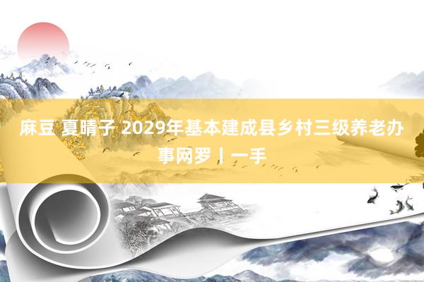 麻豆 夏晴子 2029年基本建成县乡村三级养老办事网罗丨一手