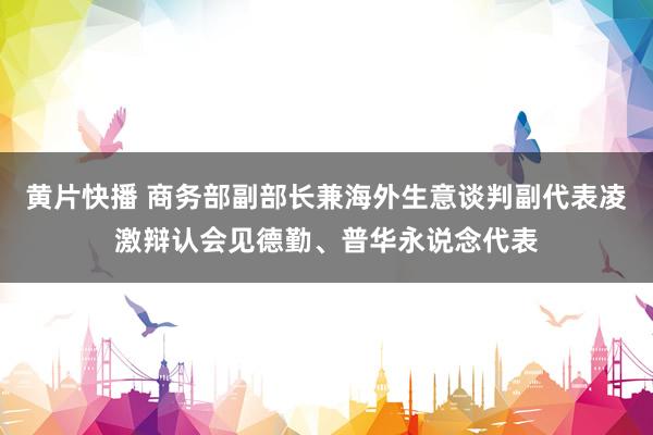 黄片快播 商务部副部长兼海外生意谈判副代表凌激辩认会见德勤、普华永说念代表