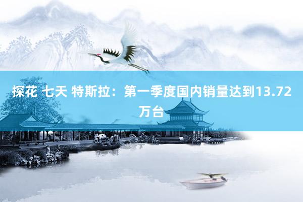 探花 七天 特斯拉：第一季度国内销量达到13.72万台