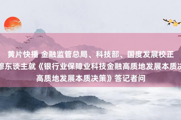 黄片快播 金融监管总局、科技部、国度发展校正委连络司局肃穆东谈主就《银行业保障业科技金融高质地发展本质决策》答记者问