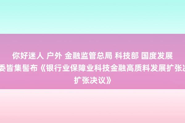 你好迷人 户外 金融监管总局 科技部 国度发展改造委皆集髻布《银行业保障业科技金融高质料发展扩张决议》