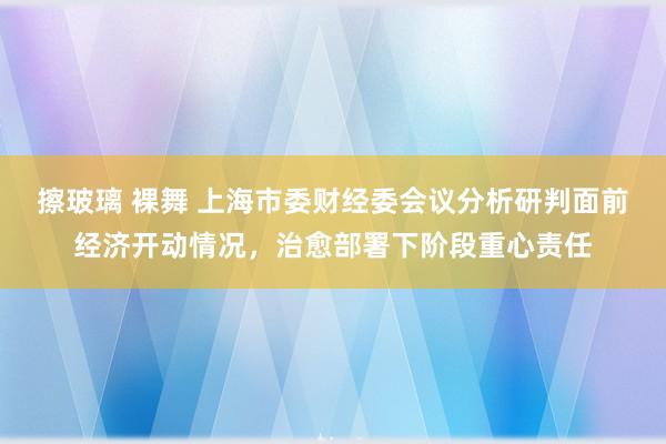 擦玻璃 裸舞 上海市委财经委会议分析研判面前经济开动情况，治愈部署下阶段重心责任