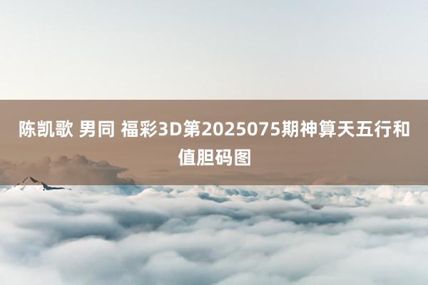 陈凯歌 男同 福彩3D第2025075期神算天五行和值胆码图