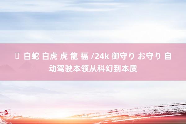 ✨白蛇 白虎 虎 龍 福 /24k 御守り お守り 自动驾驶本领从科幻到本质