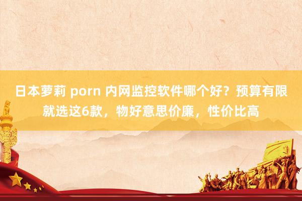 日本萝莉 porn 内网监控软件哪个好？预算有限就选这6款，物好意思价廉，性价比高