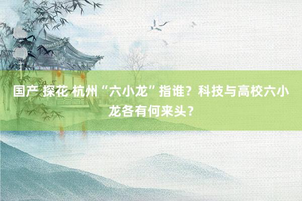 国产 探花 杭州“六小龙”指谁？科技与高校六小龙各有何来头？