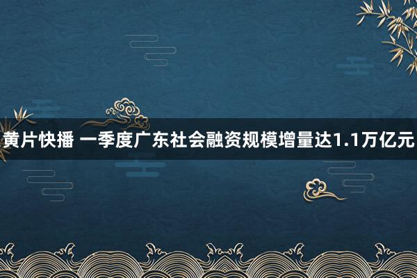 黄片快播 一季度广东社会融资规模增量达1.1万亿元