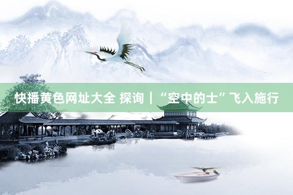 快播黄色网址大全 探询｜“空中的士”飞入施行
